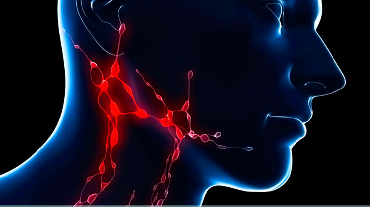 lymph-nodes